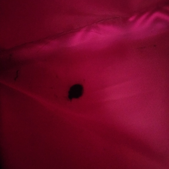 Sarah Wells Kelly breastpump bag - Picture 8 of 16